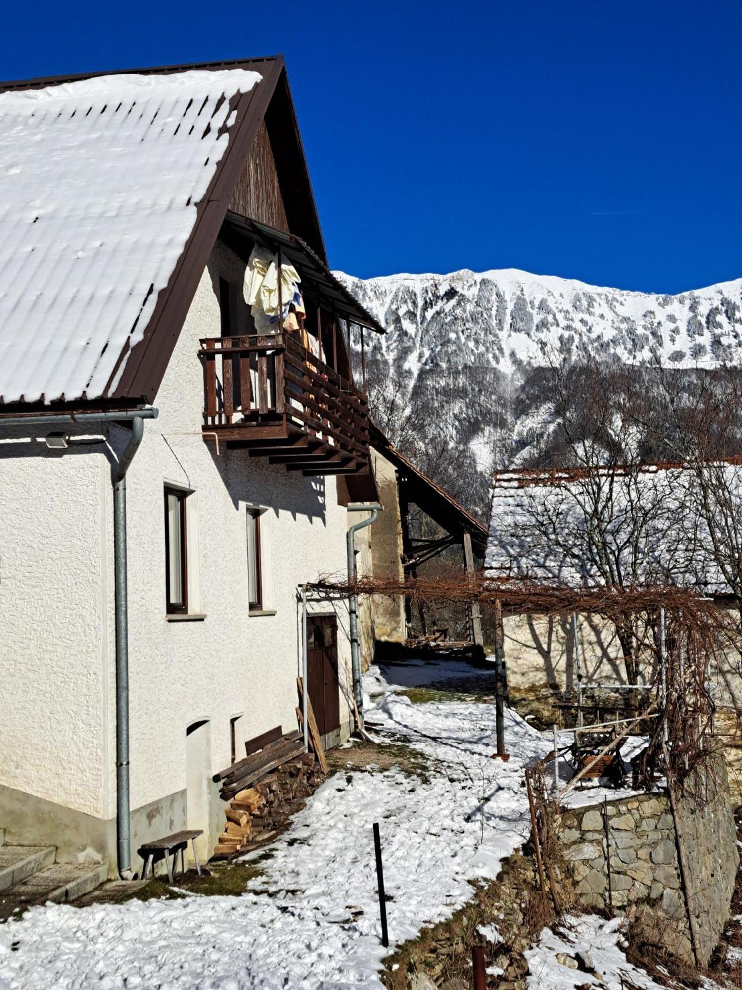 Hikers Hut Hisar Apartment Podbrdo Exterior photo
